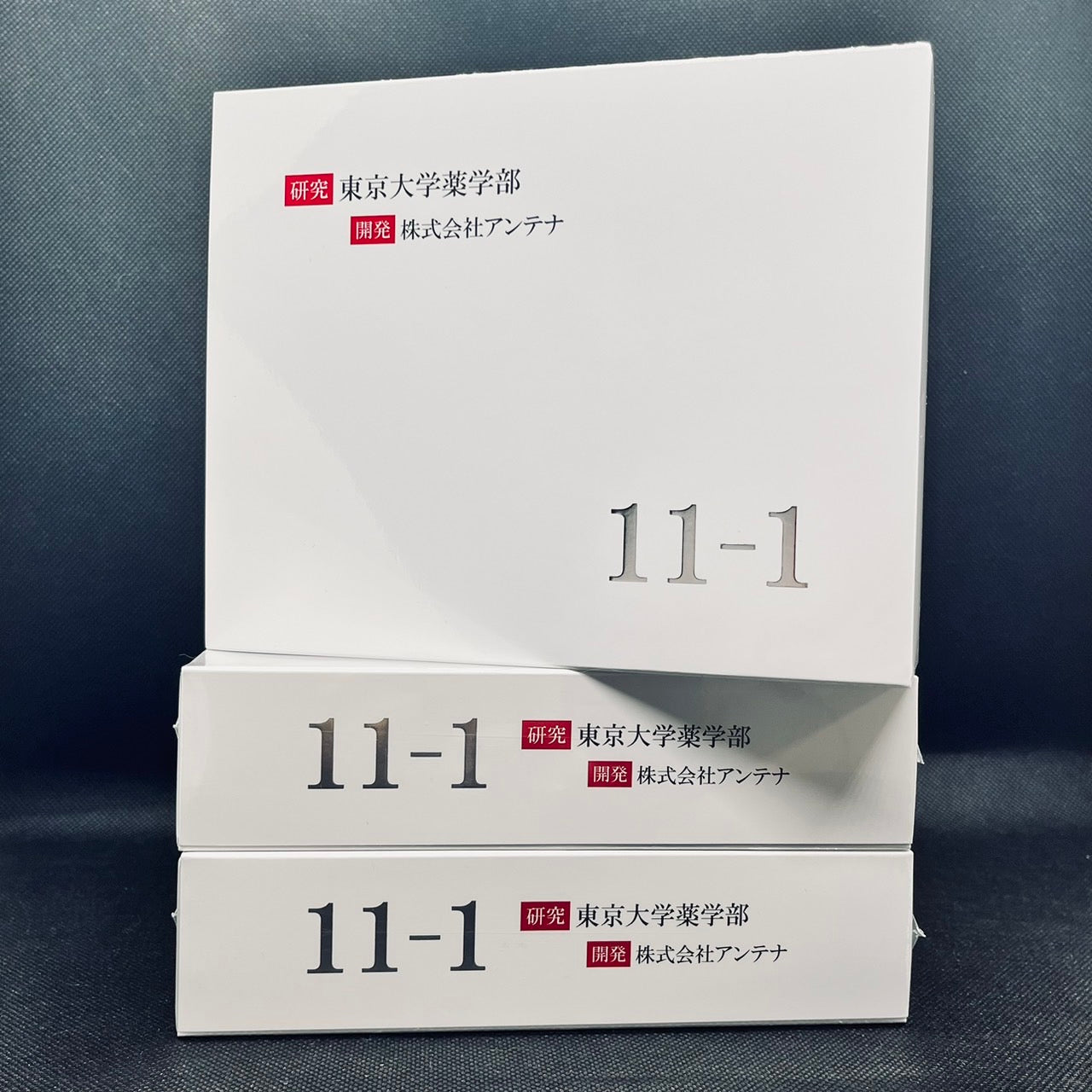 【人用】11-1乳酸菌