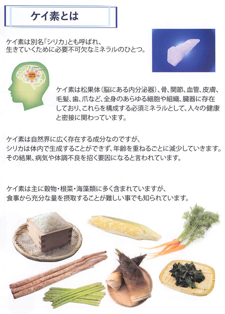 【人用】ONE SILICA（ワンシリカ）