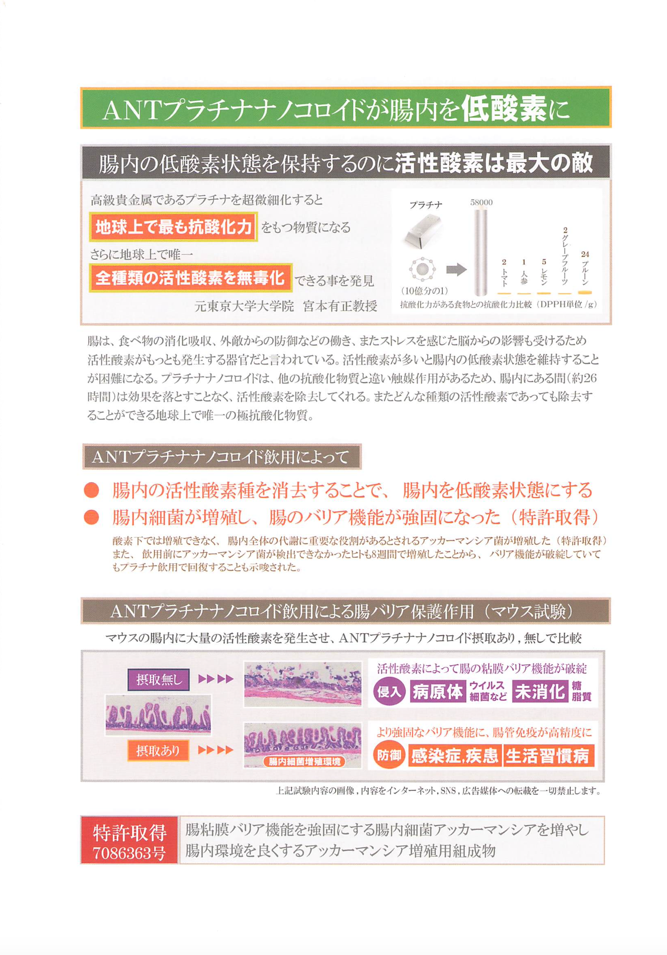 【人用】スパークリングプラチナパウダー