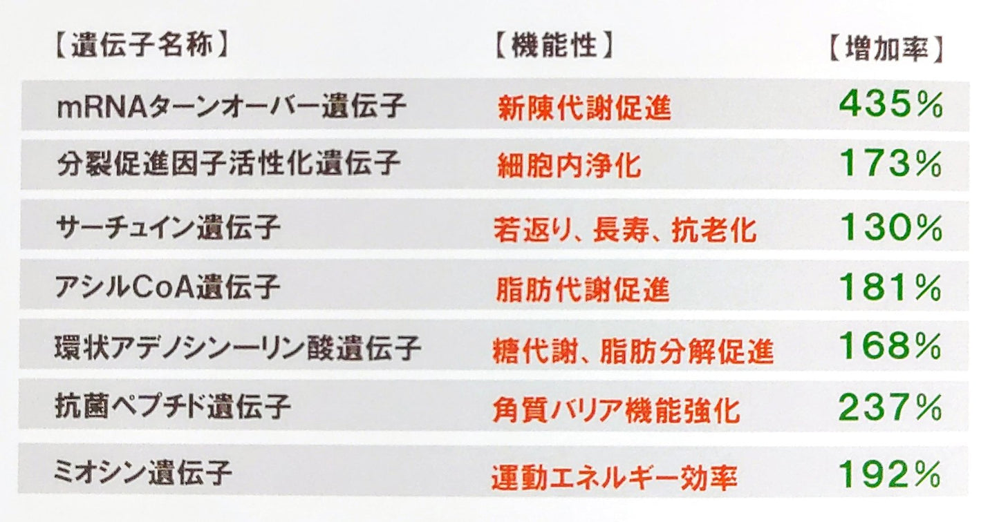 【人用】11-1乳酸菌
